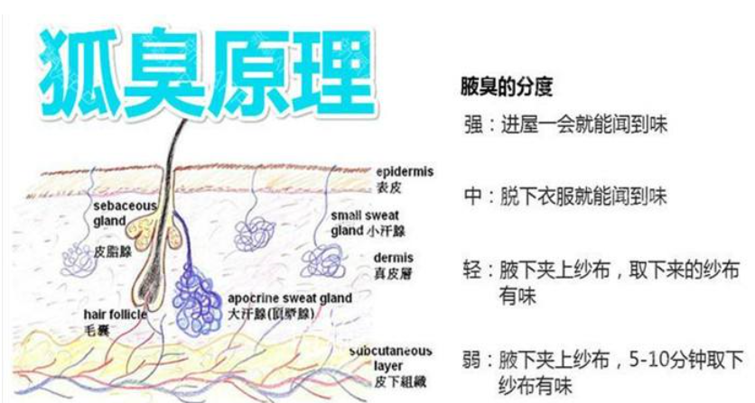 大连松山区“超低价”腋臭手术背后隐藏的*隐患