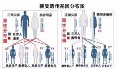 大连喀喇沁旗腋臭的遗传规律