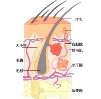 大连阿鲁科尔沁旗激光治疗狐臭