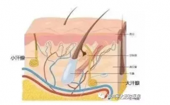 大连阿鲁科尔沁旗腋臭的新治疗方法