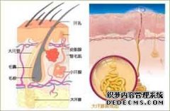 大连青岛哪种狐臭手术做的好